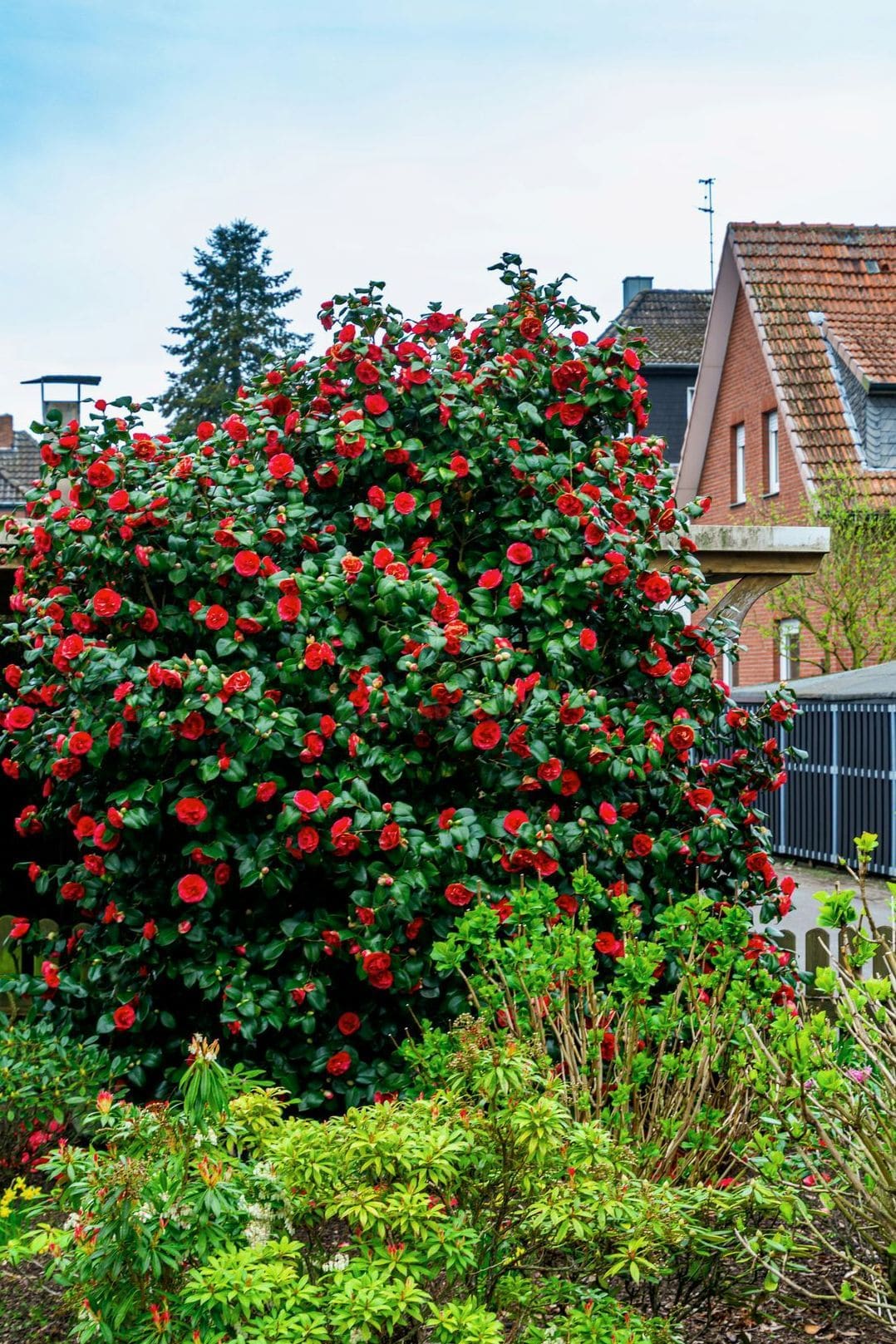 Kreinsberger Gartenbau